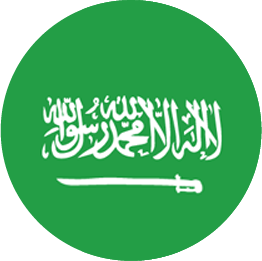 SAUDI ARABIA SAP